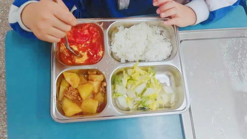 寶安小學(xué)校內(nèi)午餐午休 解決家長接娃難題，餐飲管理獲好評